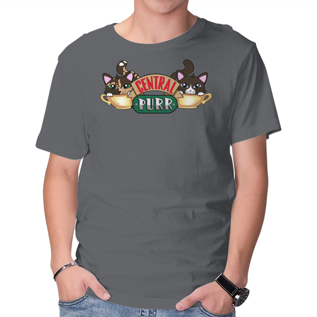 Central Purr – Cat Graphic T-Shirt in charcoal, product display
