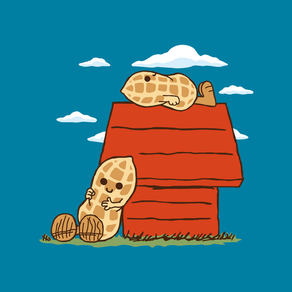 Peanuts – Funny Graphic T-Shirt design artwork for turquoise graphic T-shirt
