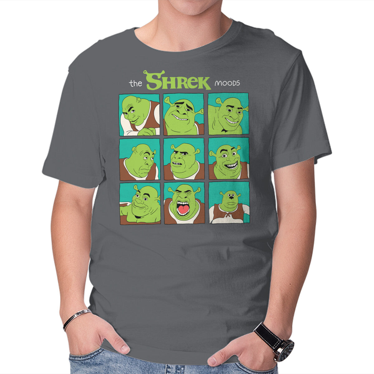 The Shrek Moods – Movie Graphic T-Shirt in charcoal, product display