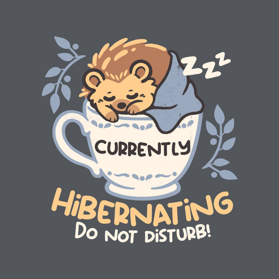 Currently Hibernating Hedgehog graphic print detail on charcoal T-shirt
