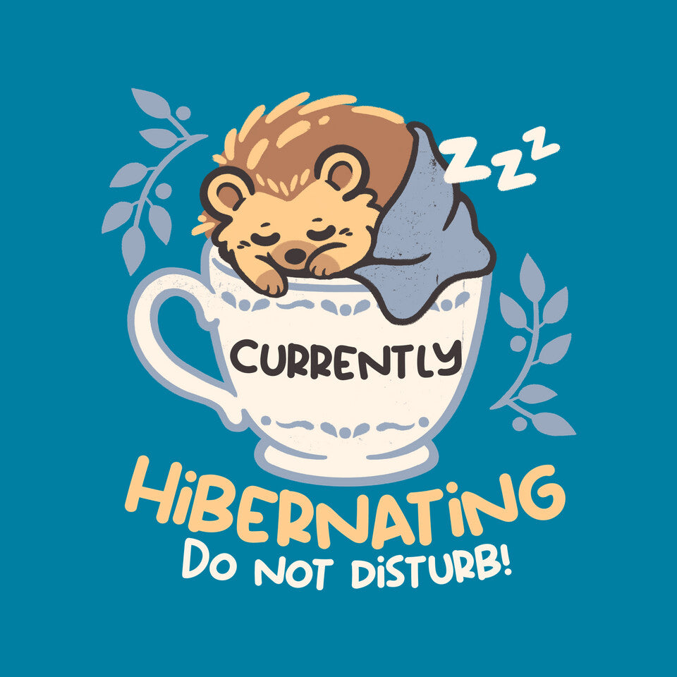 Currently Hibernating Hedgehog graphic print detail on turquoise T-shirt
