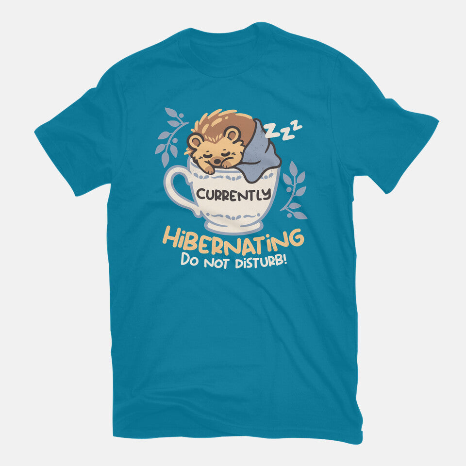 Currently Hibernating Hedgehog in turquoise, flat lay view