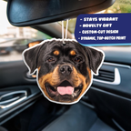 Custom Photo Air Fresheners  - Personalized Double Sided Photo Air Freshener, Customized Air Freshener for Car Wardrobe Bathroom Hanging Ornaments (A5-Irregular Shape)