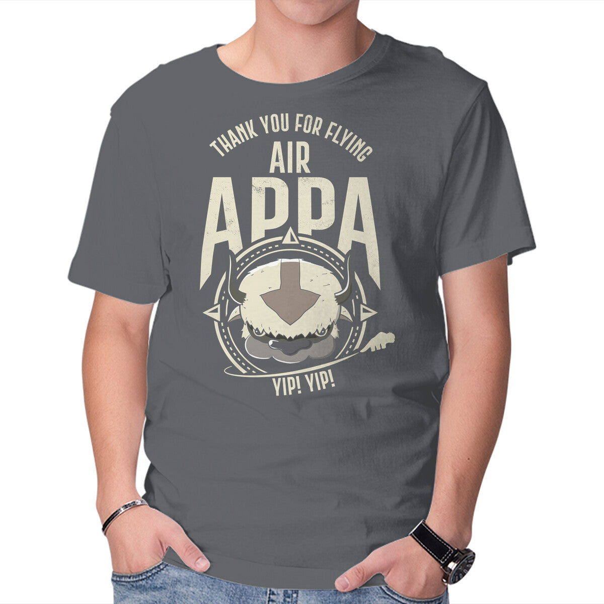 Air Appa – Anime Graphic T-Shirt in charcoal, product display