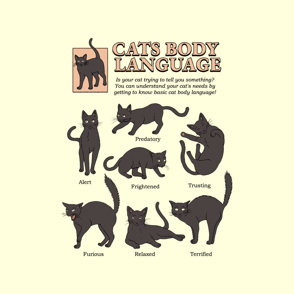 Cats Body Language – Cat Graphic T-Shirt
