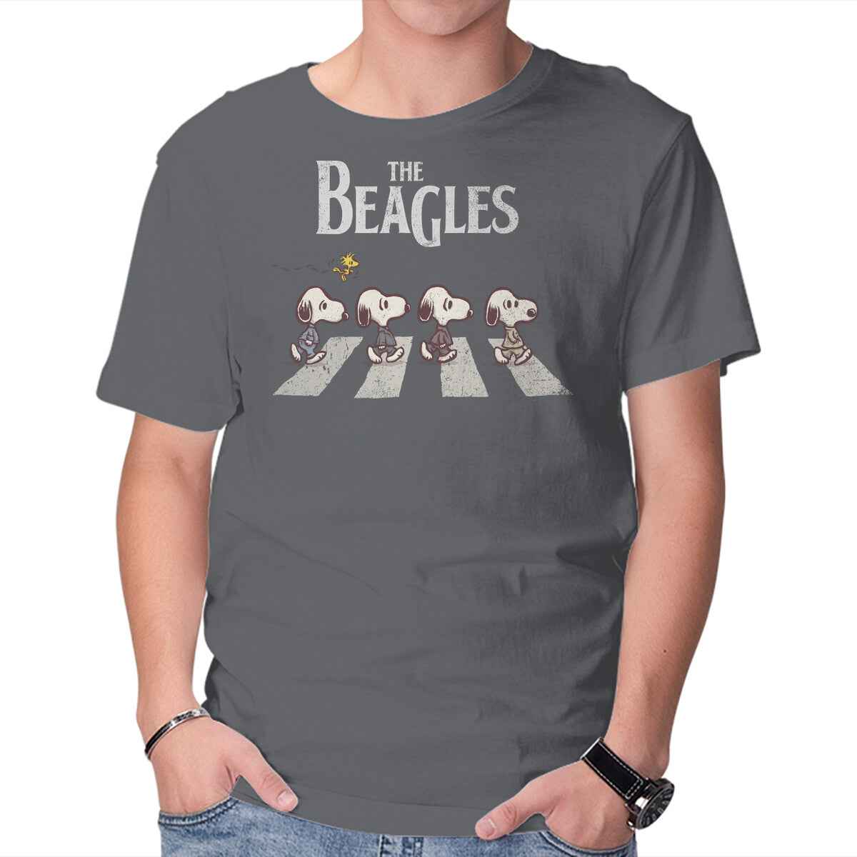 Beagles