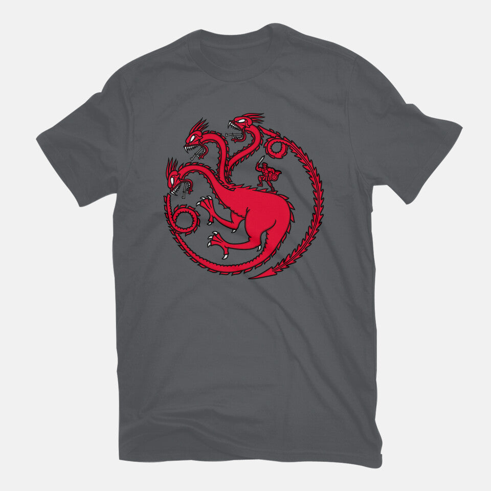 Hydraryen – Fantasy Graphic T-Shirt in charcoal, flat-lay product view