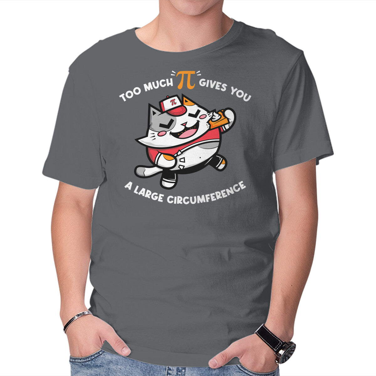 Too Much Pi – Cat Graphic T-Shirt in charcoal, product display