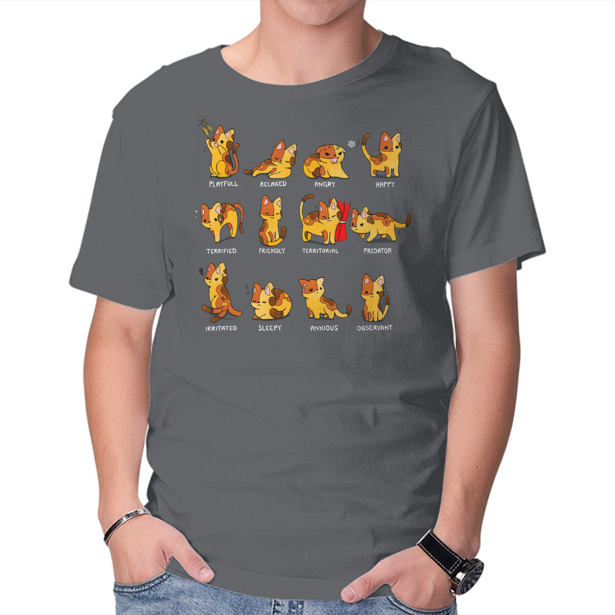Cat Mood – Cat Graphic T-Shirt in charcoal, product display