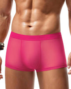 Men's Mesh Boxer Briefs Breathable Stretch Trunk Sexy Lingerie Underwear