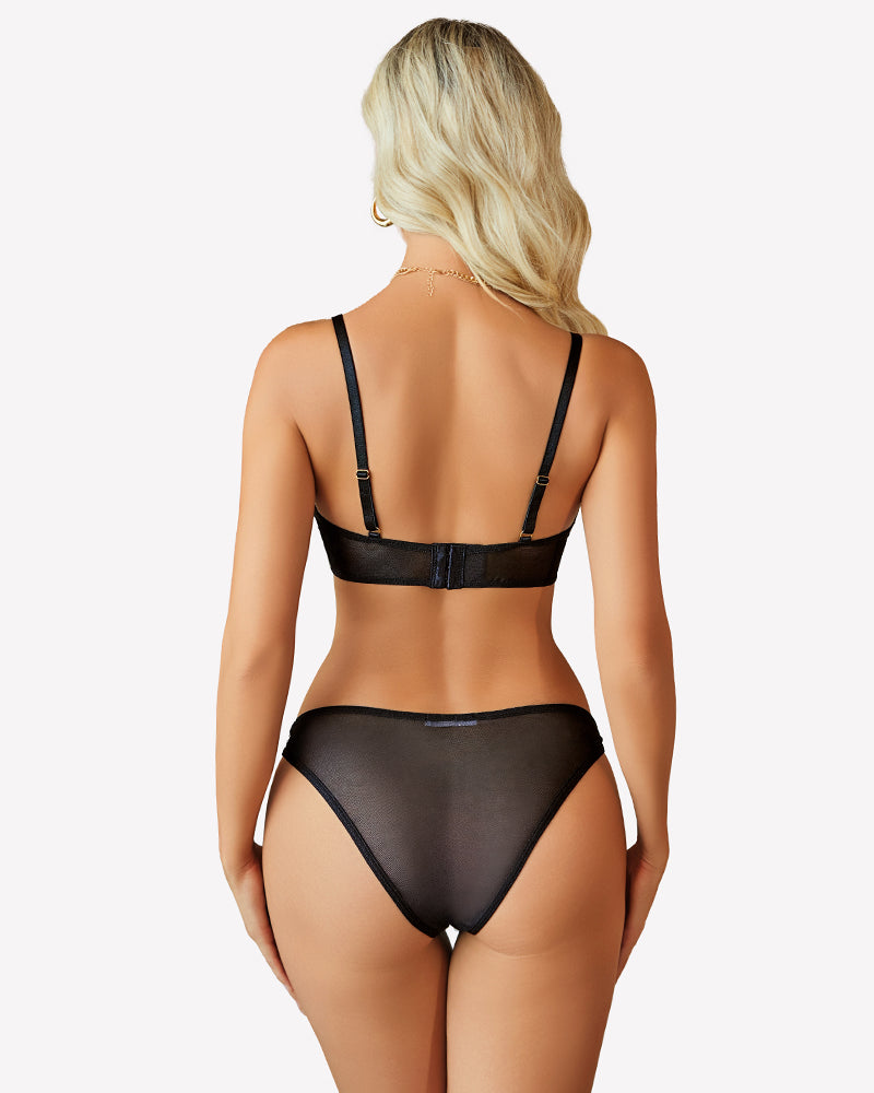 Mesh Cut Out Sexy Bra and Panty Sets