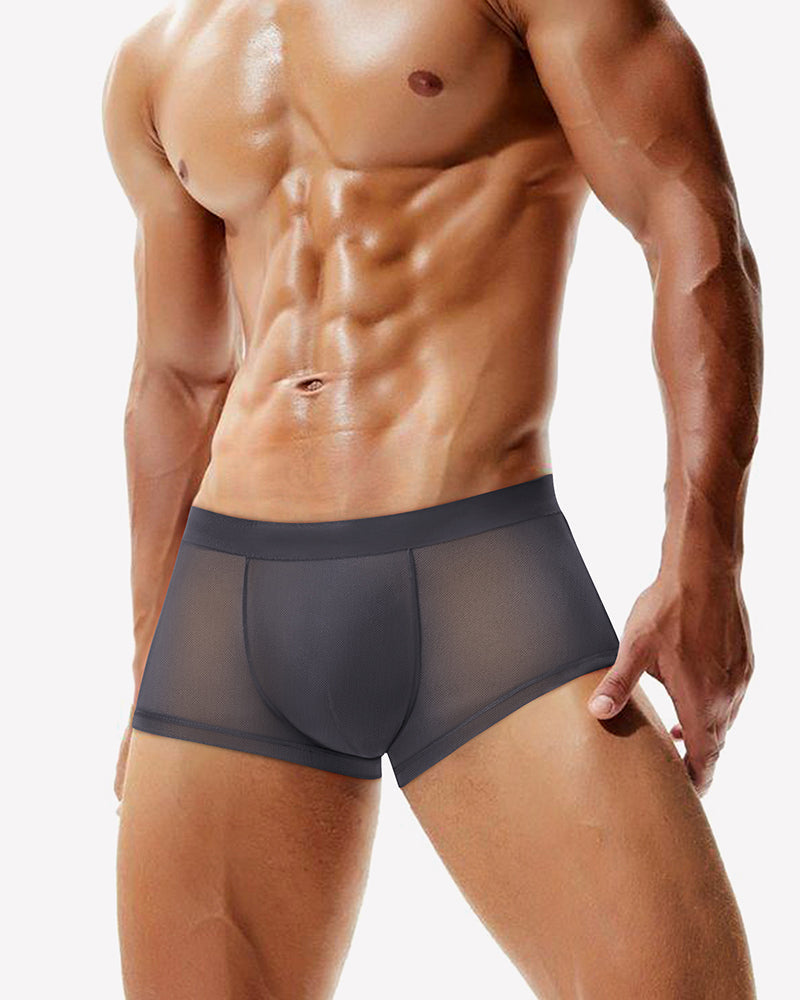 Men's Mesh Boxer Briefs Breathable Stretch Trunk Sexy Lingerie Underwear