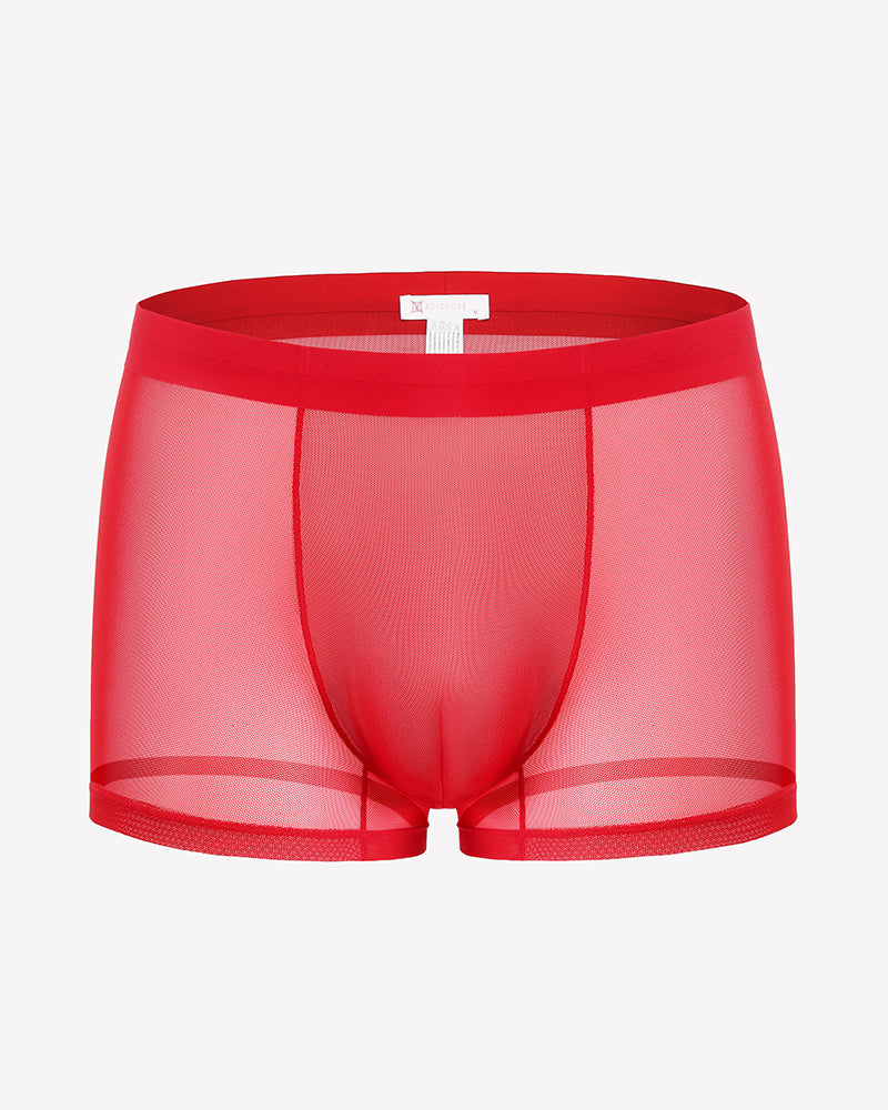 Men's Mesh Boxer Briefs Breathable Stretch Trunk Sexy Lingerie Underwear