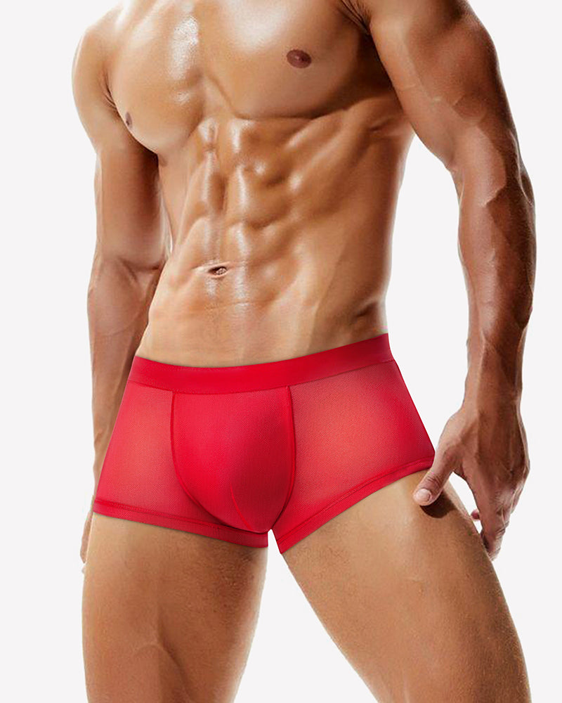 Men's Mesh Boxer Briefs Breathable Stretch Trunk Sexy Lingerie Underwear