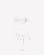 2 Piece Sheer Mesh Bralette and Ruffled Skirt Panty No Underwire