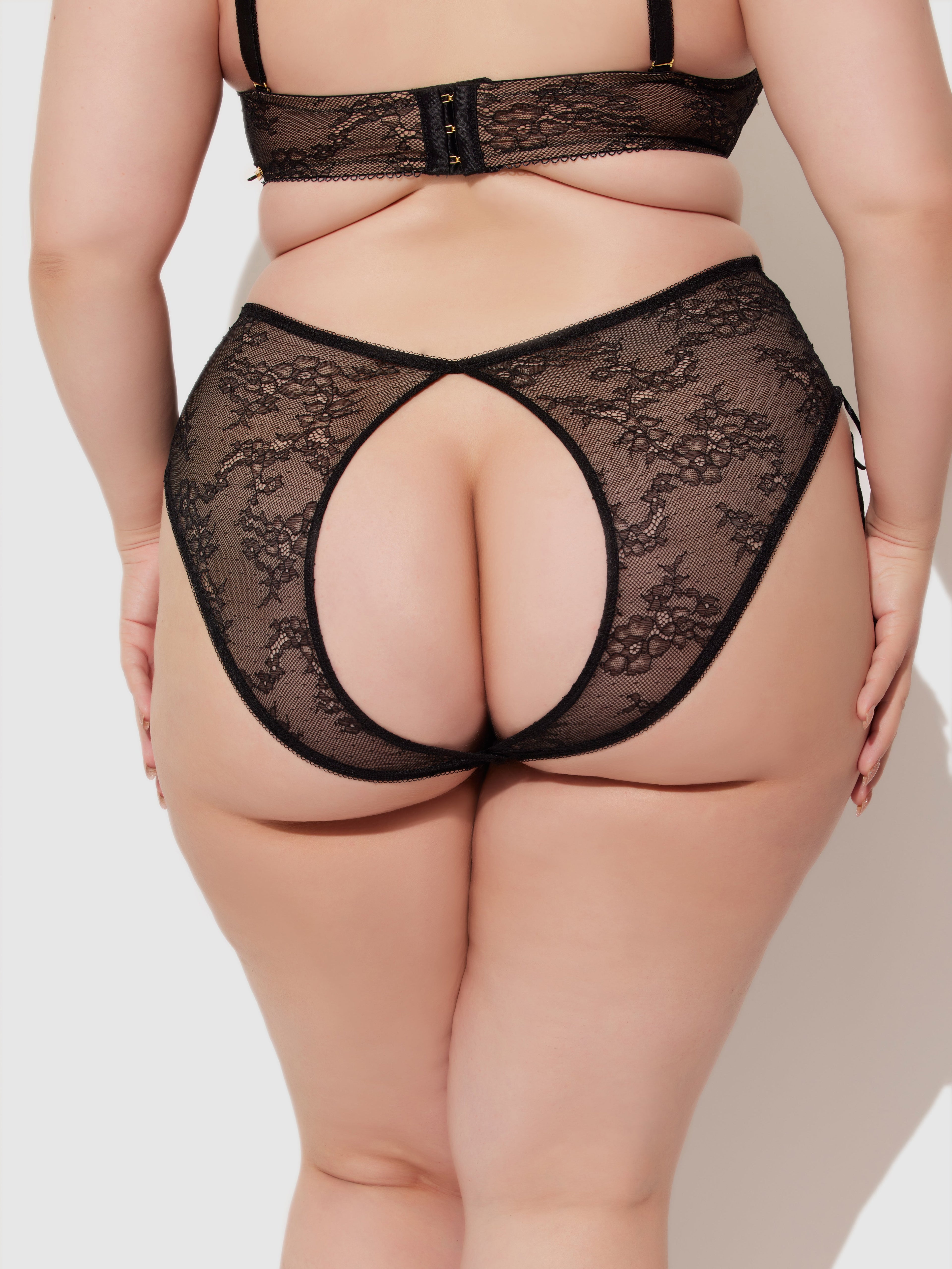 Luella Lace Open Back High-Waist Panty