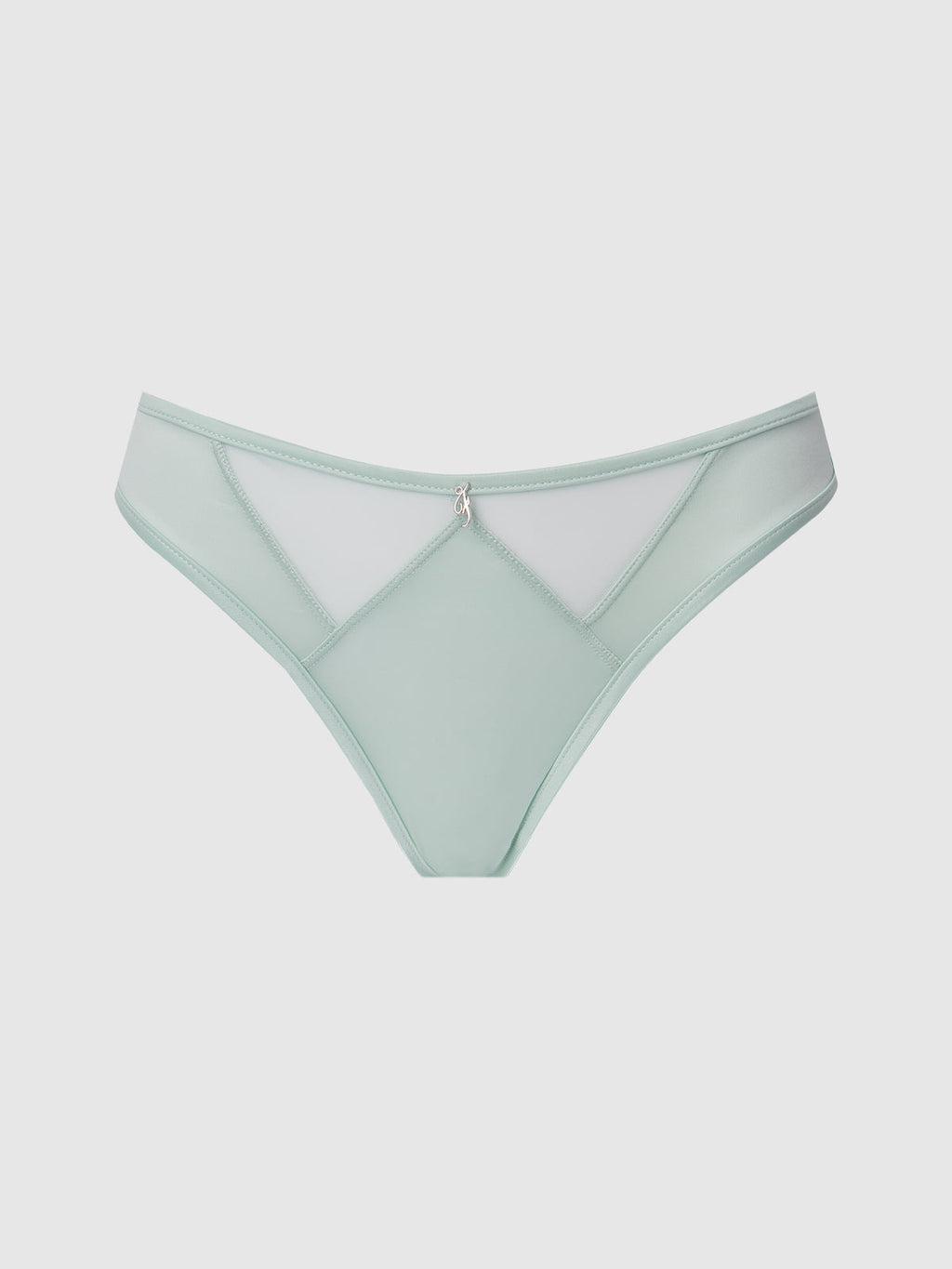 Neev Oil Slick & Mesh Tanga