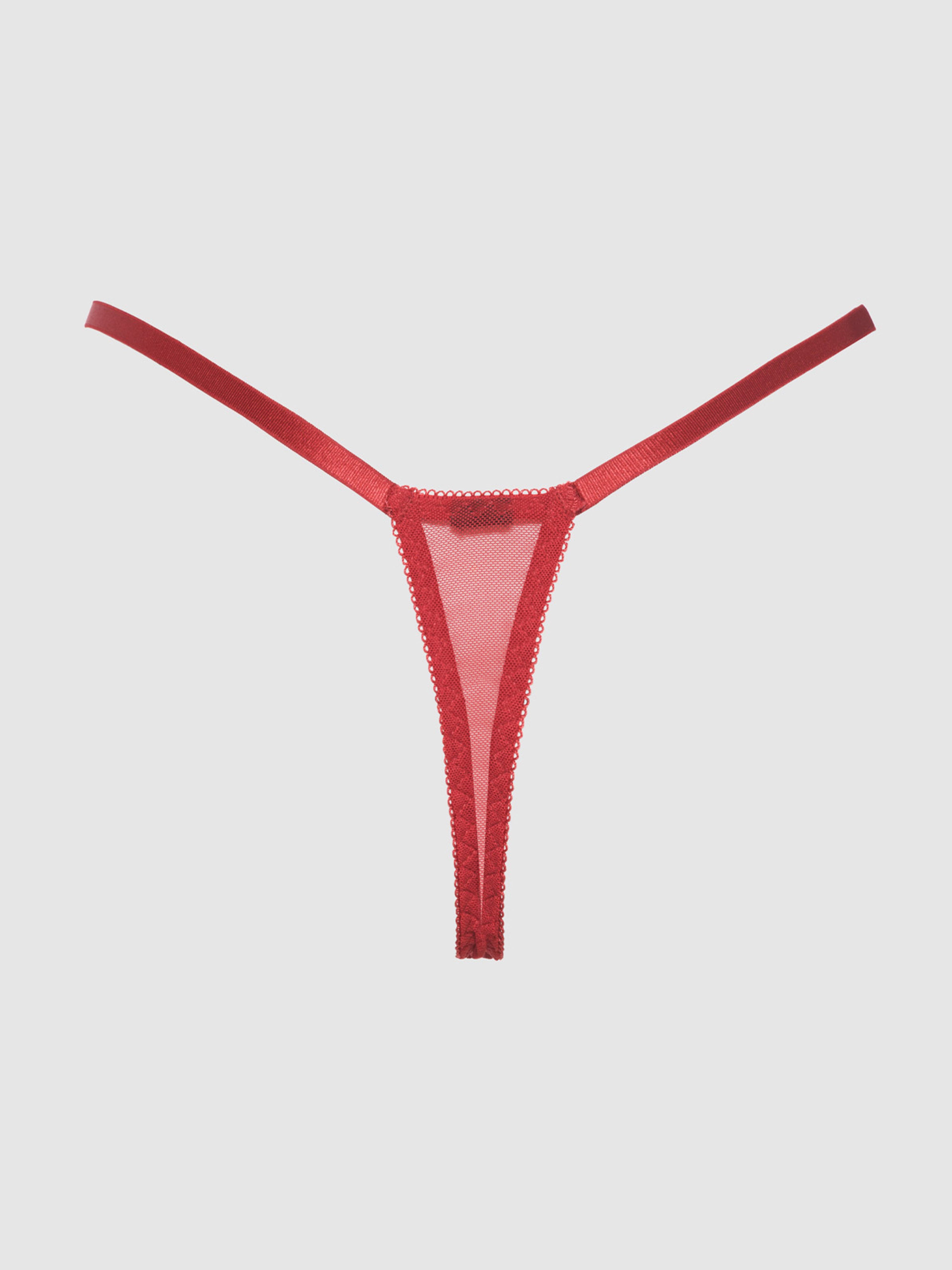 Melrose Embroidered Crotchless Thong