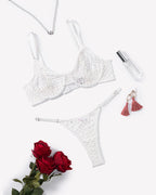 Fishnet Hollow Out Push Up Bra and Sheer Thong