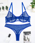 Sheer Mesh Underwire Bra with Panty Erotic Set