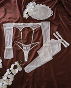 Mesh Sheer Body Set+Gloves+Stockings
