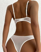 Floral Embroidered Sheer Lace Lingerie Set