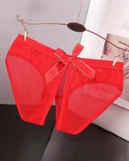 Sheer Mesh Satin Bow Panties High Cut Lingerie Briefs