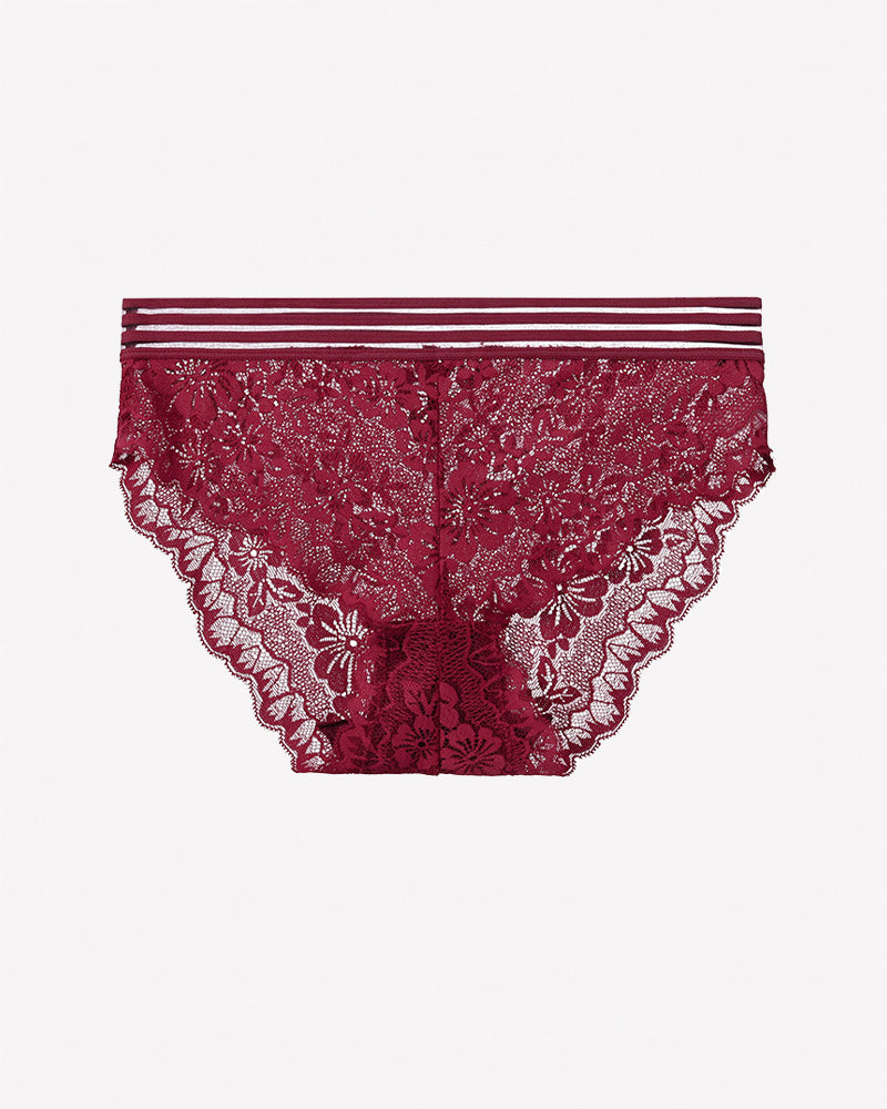 Striped Waist Floral Lace Panties - Sexy Sheer High Stretch Briefs