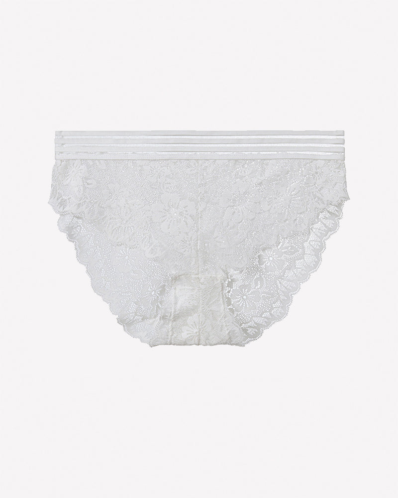 Striped Waist Floral Lace Panties - Sexy Sheer High Stretch Briefs