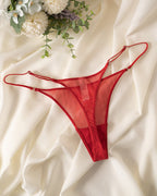 Sheer Mesh Double Strap Thong - Sexy Low Rise Lingerie Panties